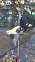 Carica l'immagine nel visualizzatore di Gallery, Corvo