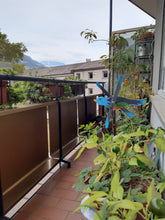 Carica l'immagine nel visualizzatore di Gallery, Aquilotto azzurro