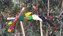 Carica l'immagine nel visualizzatore di Gallery, Tucano Mexico