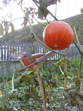 Carica l'immagine nel visualizzatore di Gallery, Pettirosso