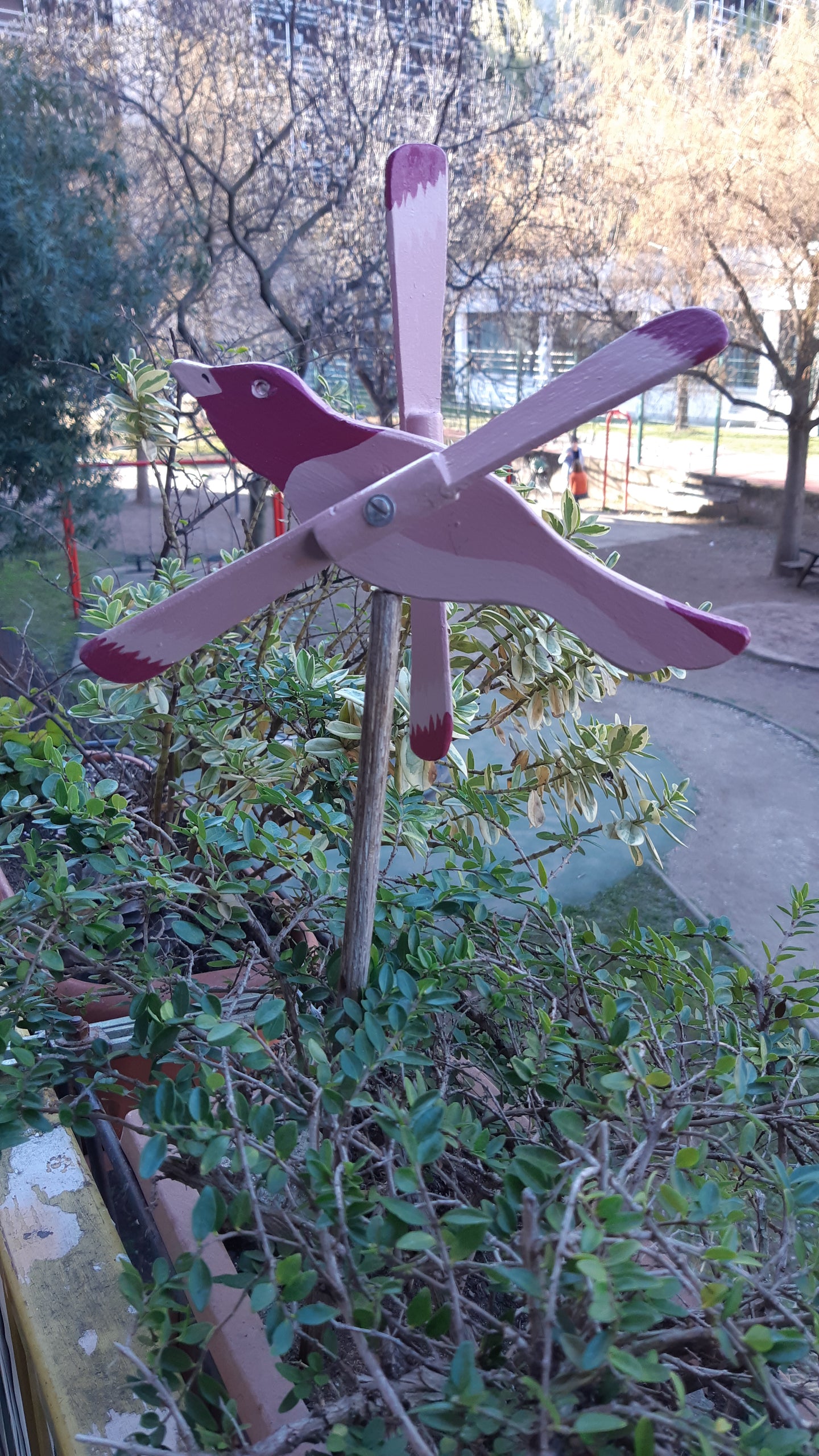 Uccellino Ciuffolotto rosa