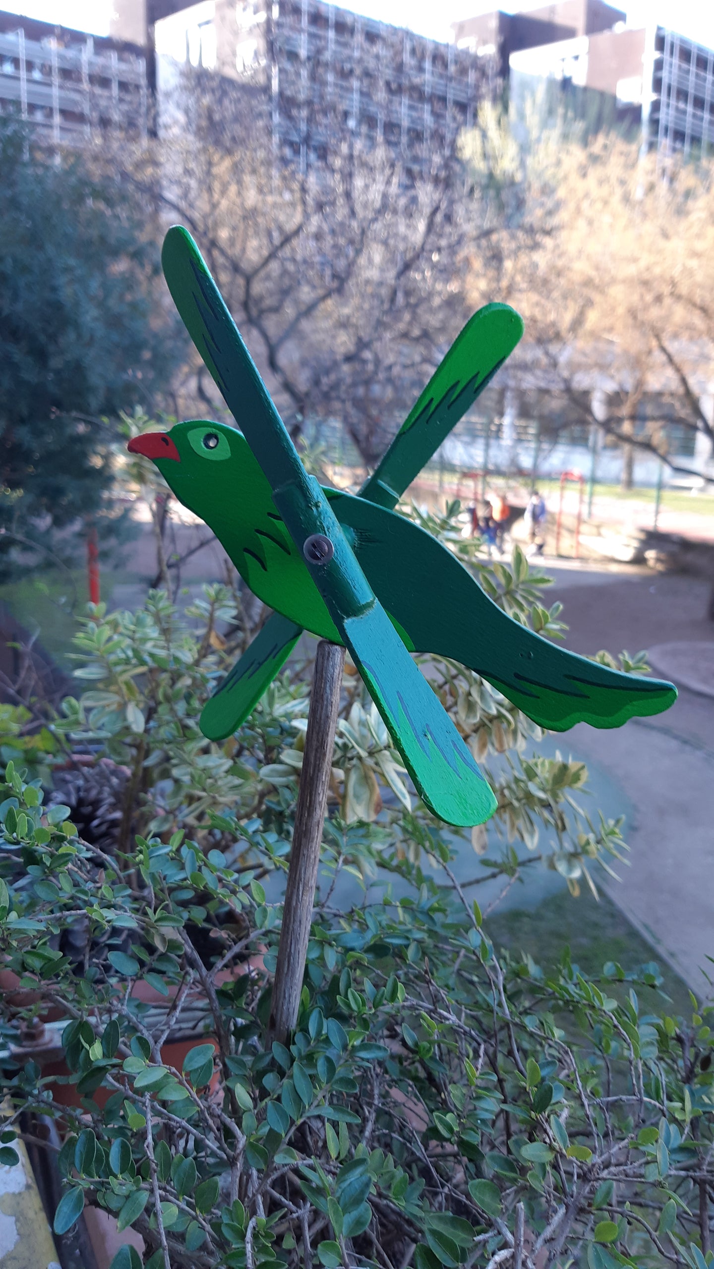 Uccellino Pappagallino