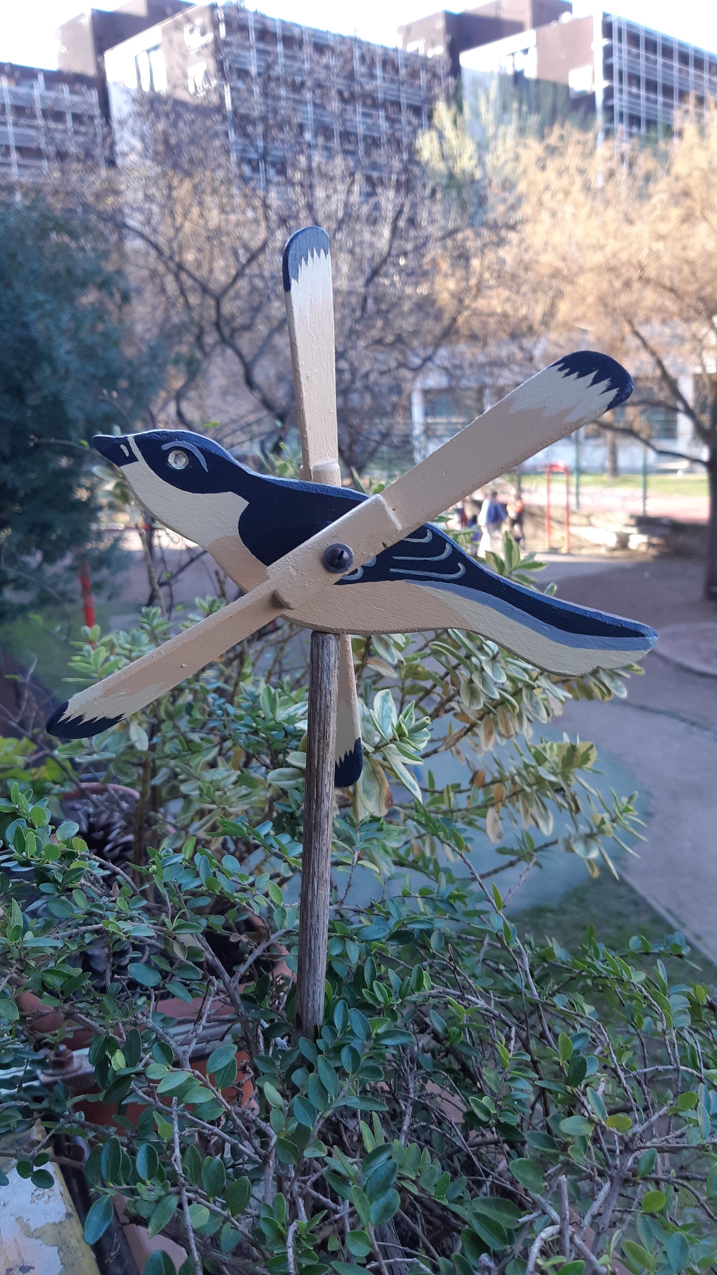 Uccellino Ballerina