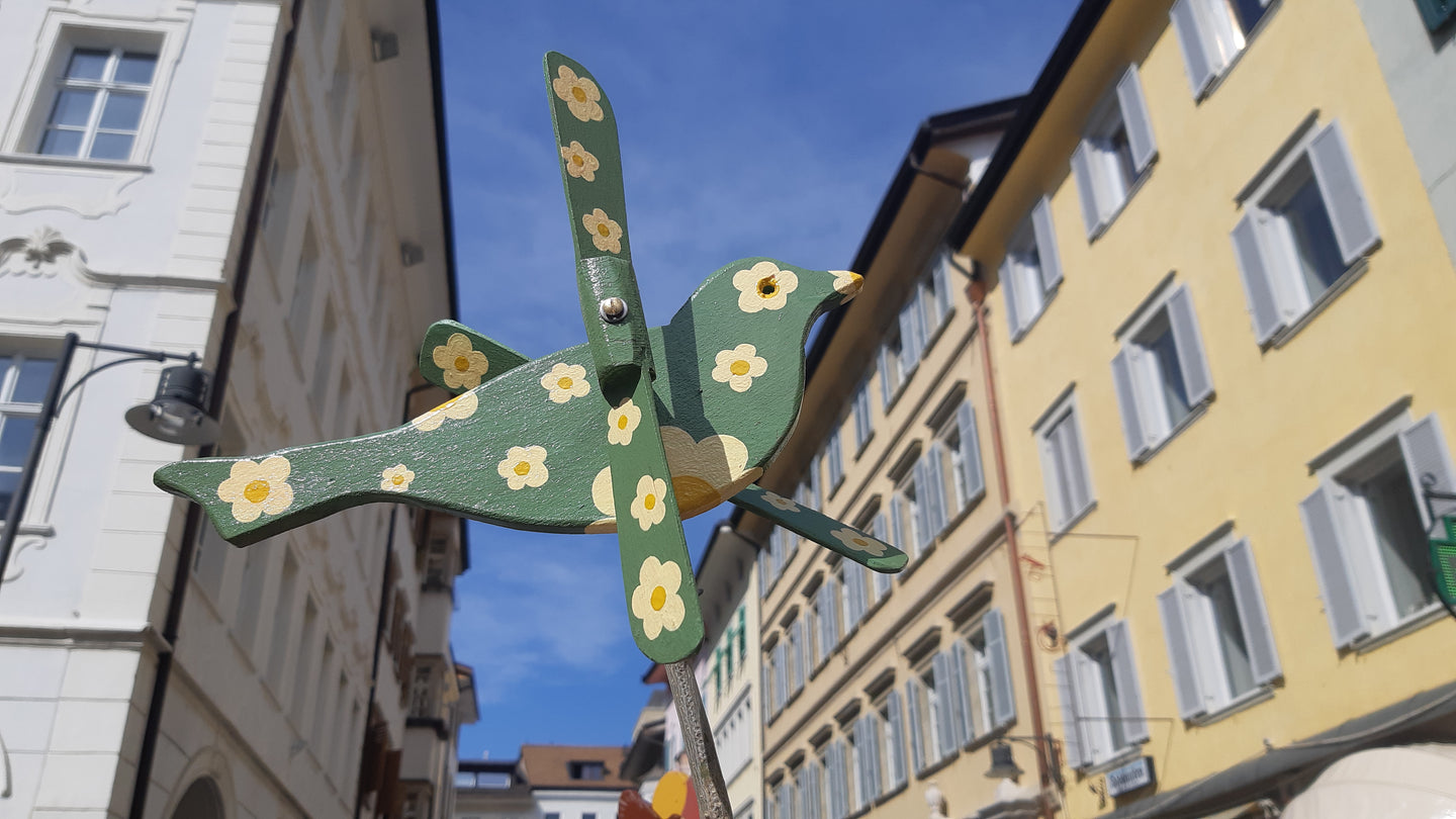 Fioruccello verde o nero-esaurito